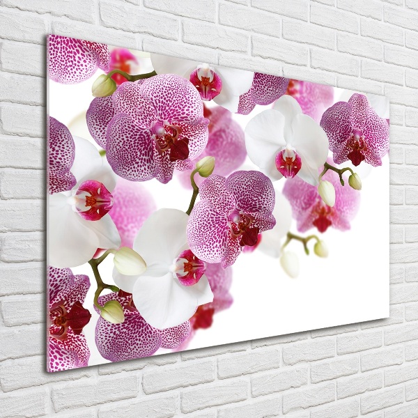 Schilderij glas Orchidee
