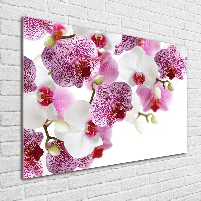 Schilderij glas Orchidee
