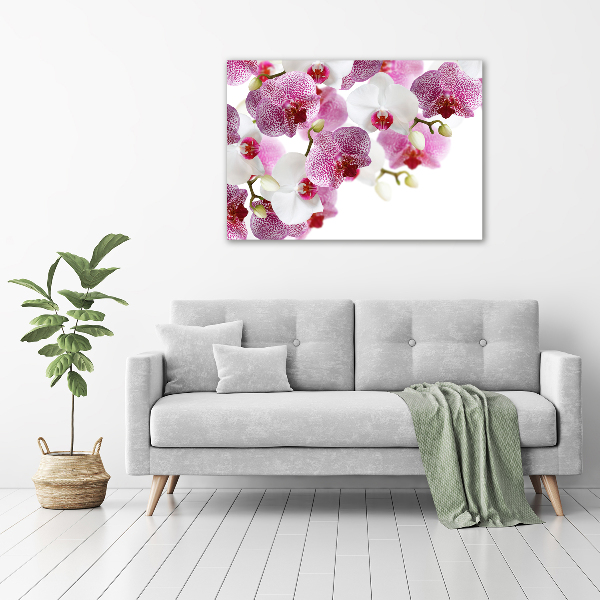 Schilderij glas Orchidee