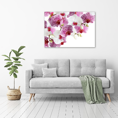 Schilderij glas Orchidee