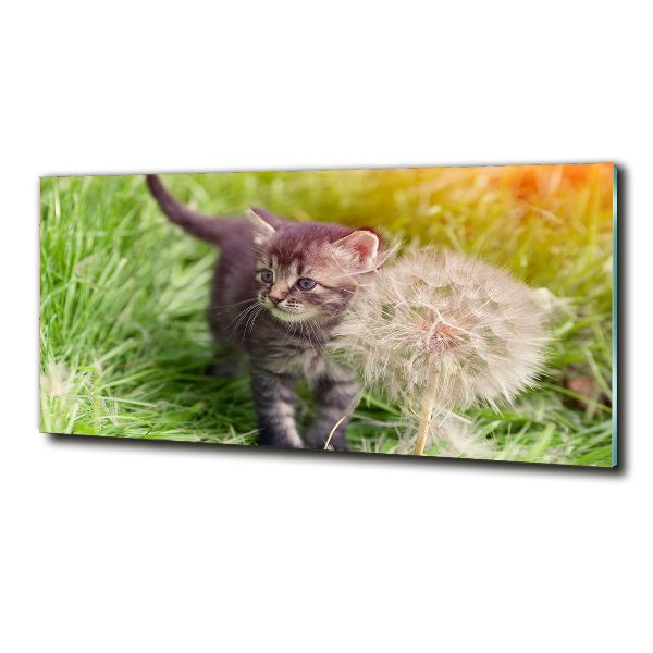 Glazen schilderij Kitten met een paardenbloem
