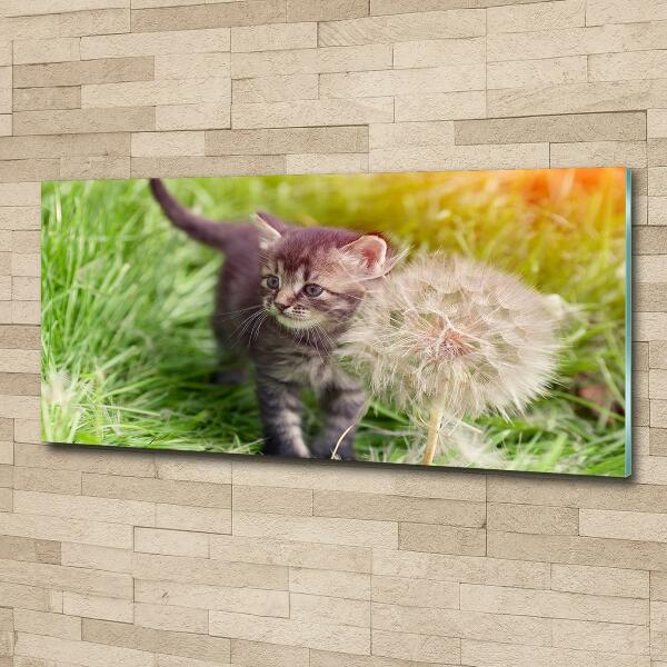 Glazen schilderij Kitten met een paardenbloem