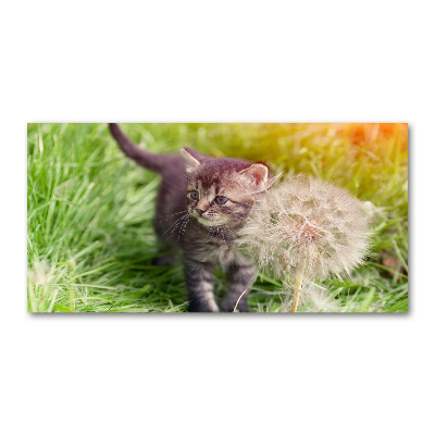 Glazen schilderij Kitten met een paardenbloem