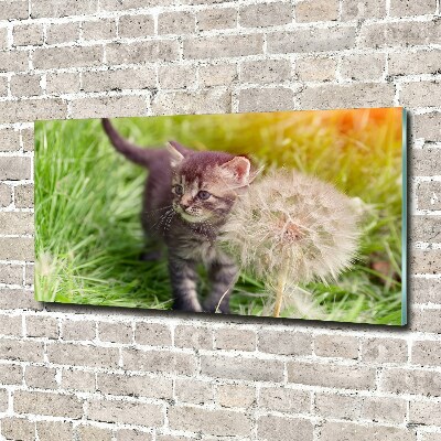 Glazen schilderij Kitten met een paardenbloem