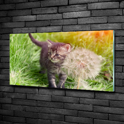 Glazen schilderij Kitten met een paardenbloem