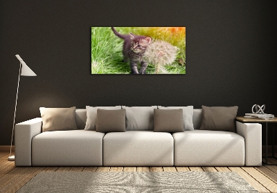 Glazen schilderij Kitten met een paardenbloem