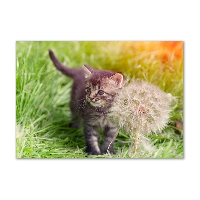 Glazen schilderij Kitten met een paardenbloem