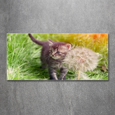 Glazen schilderij Kitten met een paardenbloem