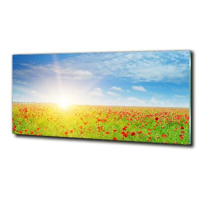 Glazen schilderij Klaprozenveld