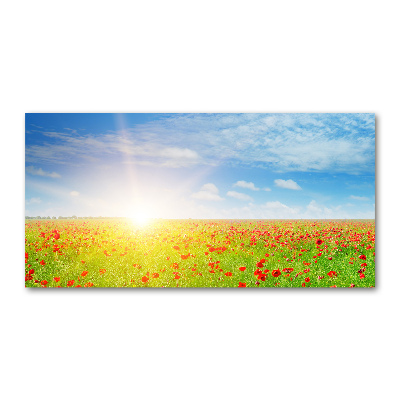 Glazen schilderij Klaprozenveld