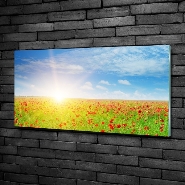 Glazen schilderij Klaprozenveld