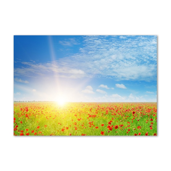 Glazen schilderij Klaprozenveld