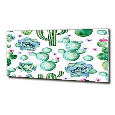 Schilderij op glas Cactussen
