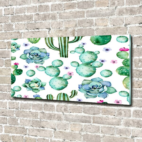 Schilderij op glas Cactussen