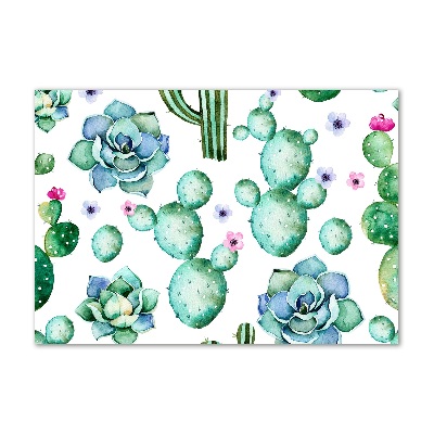 Schilderij op glas Cactussen