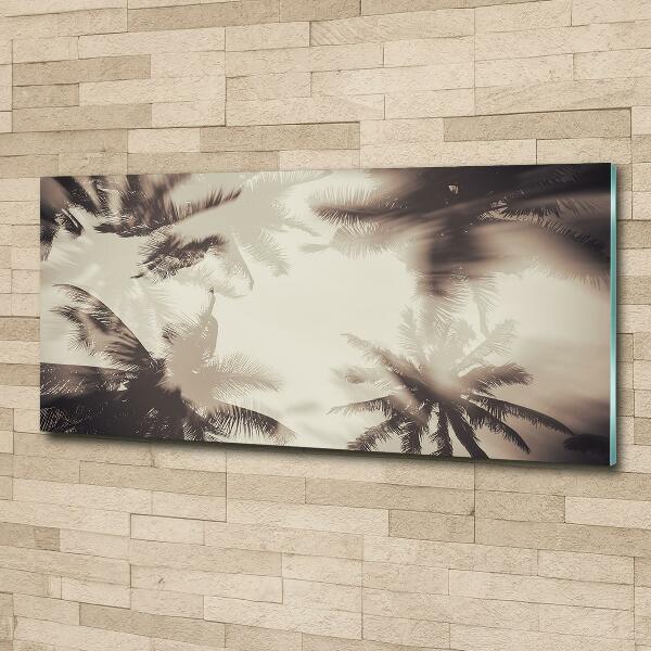 Schilderij glas Palmbomen