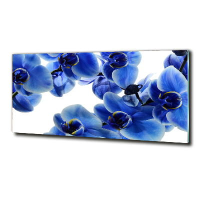Glazen schilderij Blauwe orchidee