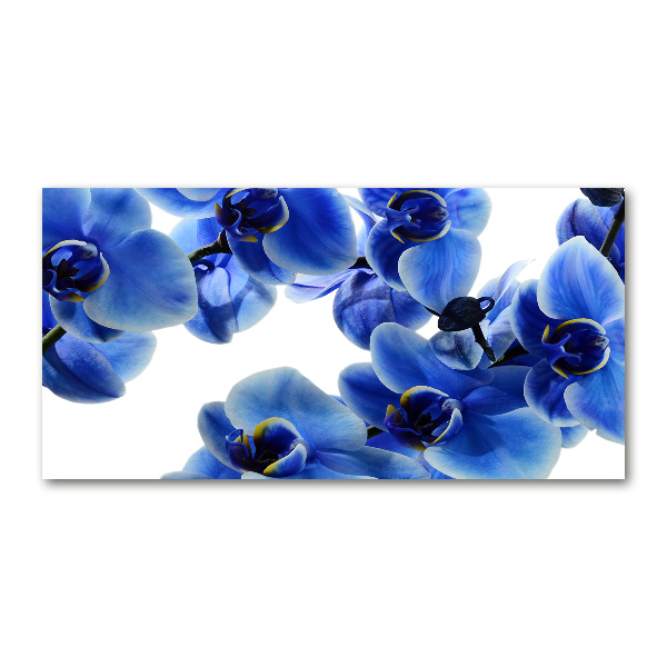 Glazen schilderij Blauwe orchidee