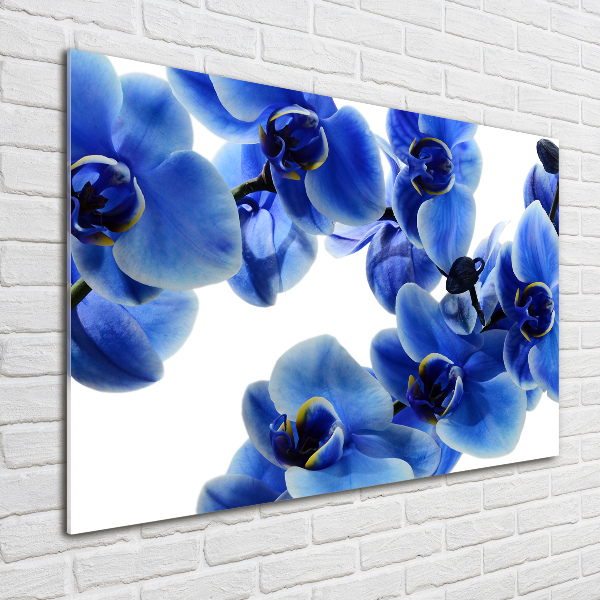 Glazen schilderij Blauwe orchidee