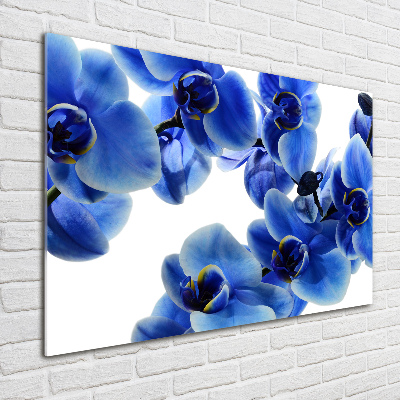 Glazen schilderij Blauwe orchidee
