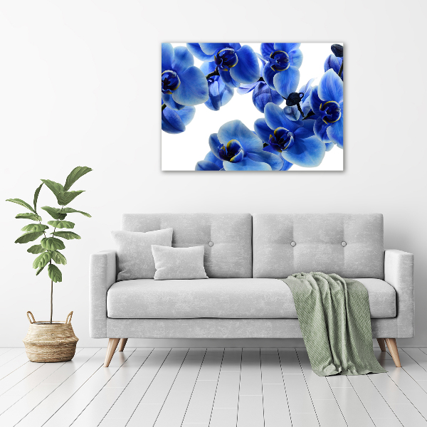 Glazen schilderij Blauwe orchidee
