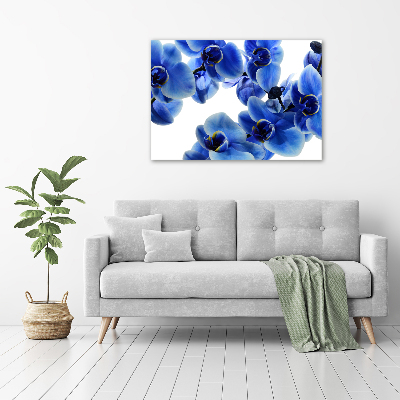 Glazen schilderij Blauwe orchidee