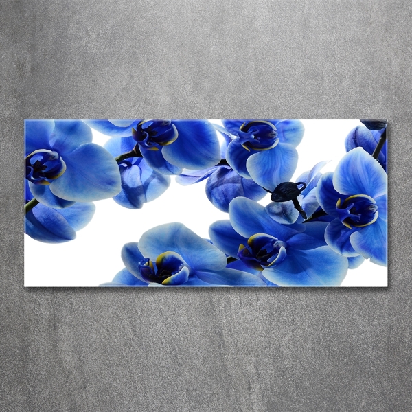 Glazen schilderij Blauwe orchidee