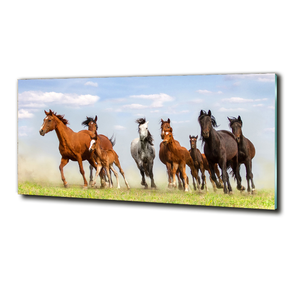 Foto schilderij op glas Paarden in galop