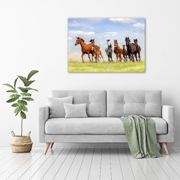 Foto schilderij op glas Paarden in galop