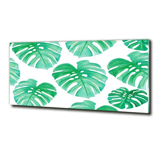 Schilderij op glas Monstera