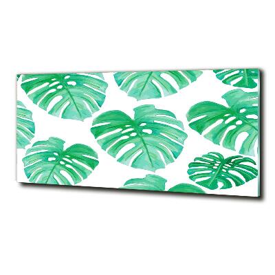 Schilderij op glas Monstera