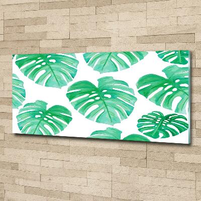 Schilderij op glas Monstera
