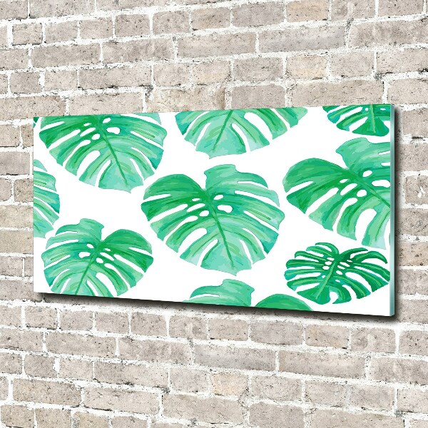 Schilderij op glas Monstera