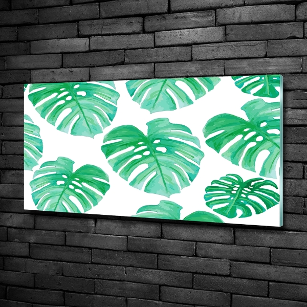 Schilderij op glas Monstera