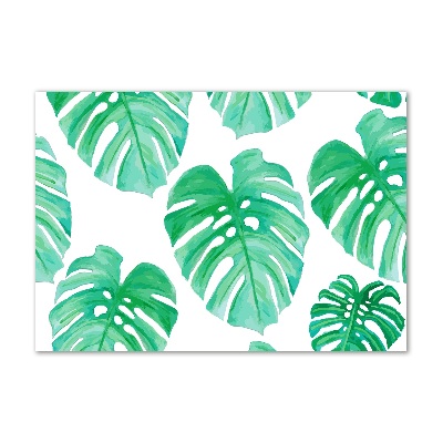 Schilderij op glas Monstera