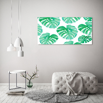 Schilderij op glas Monstera
