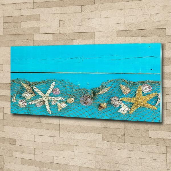 Schilderij op glas Zeesterren en schelpen