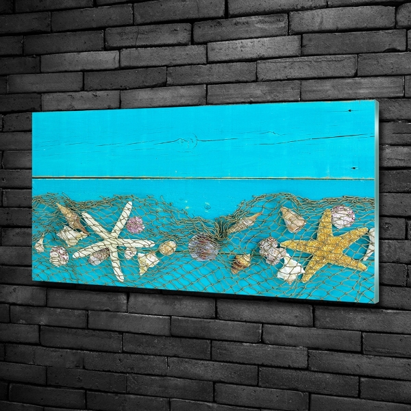 Schilderij op glas Zeesterren en schelpen