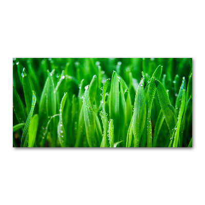 Schilderij glas Gras