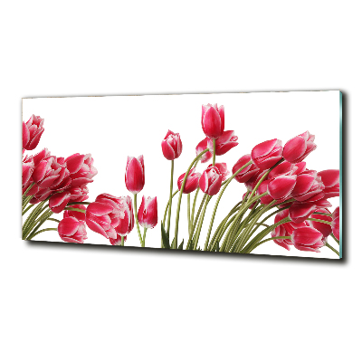 Glazen schilderij Rode tulpen