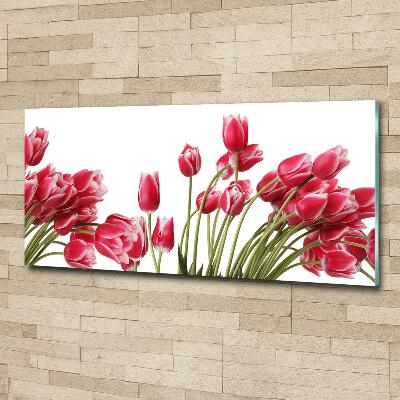 Glazen schilderij Rode tulpen