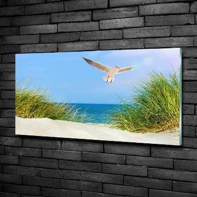Schilderij op glas Meeuw op het strand