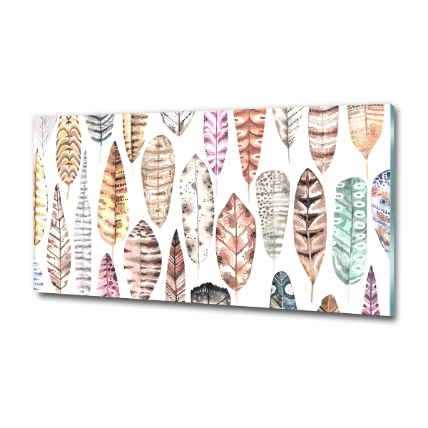 Foto schilderij op glas Kleurrijke veren