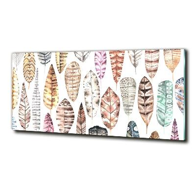 Foto schilderij op glas Kleurrijke veren