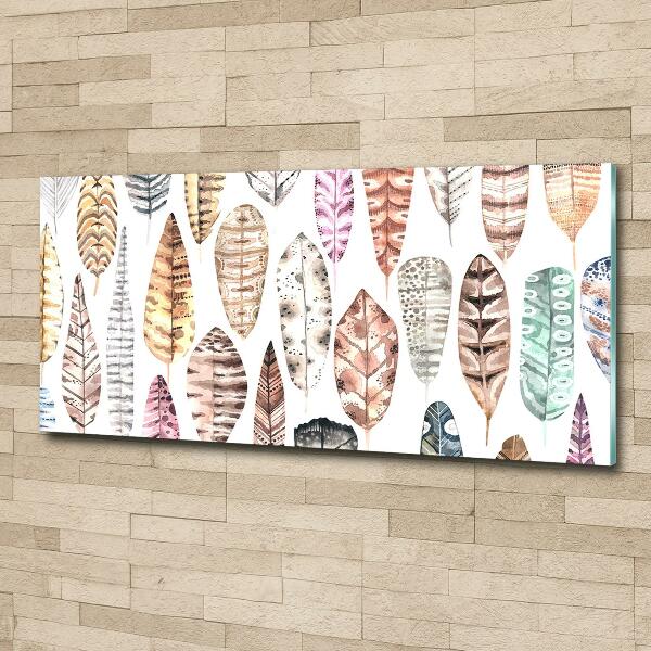 Foto schilderij op glas Kleurrijke veren