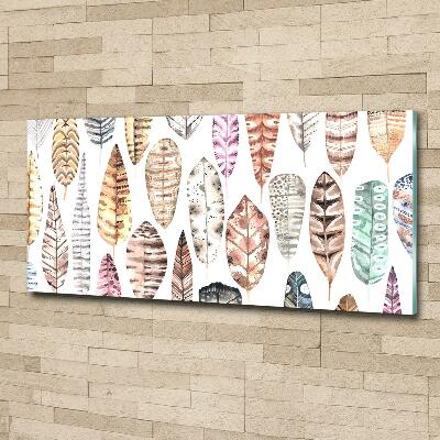 Foto schilderij op glas Kleurrijke veren