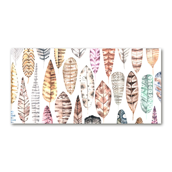 Foto schilderij op glas Kleurrijke veren