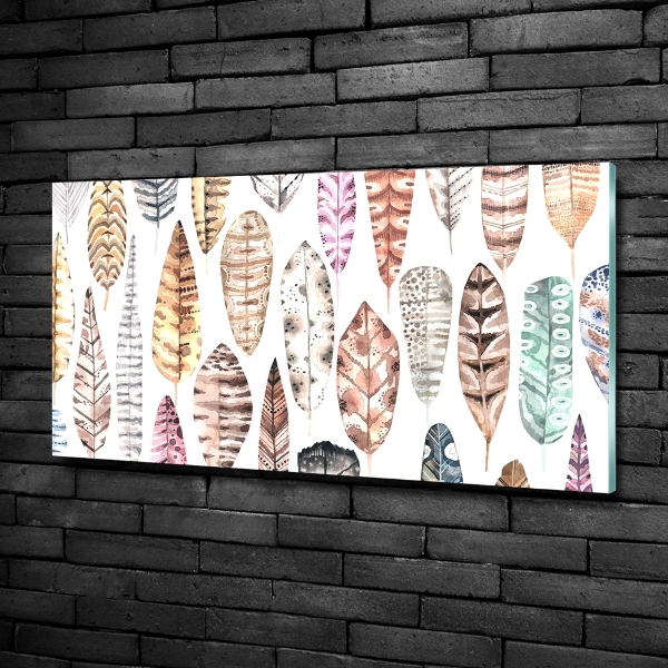 Foto schilderij op glas Kleurrijke veren