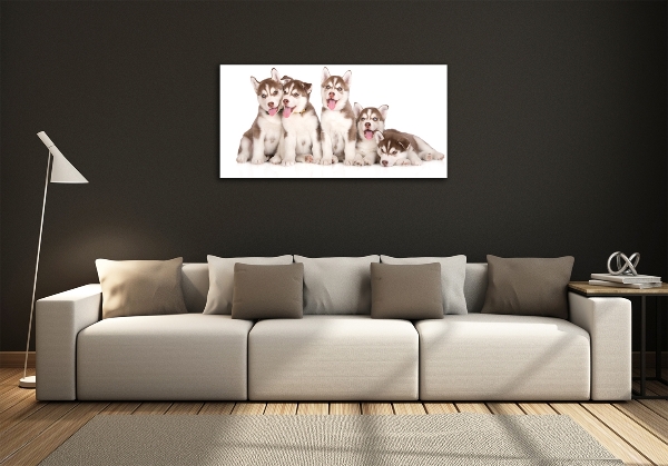 Schilderij glas Husky-puppy's