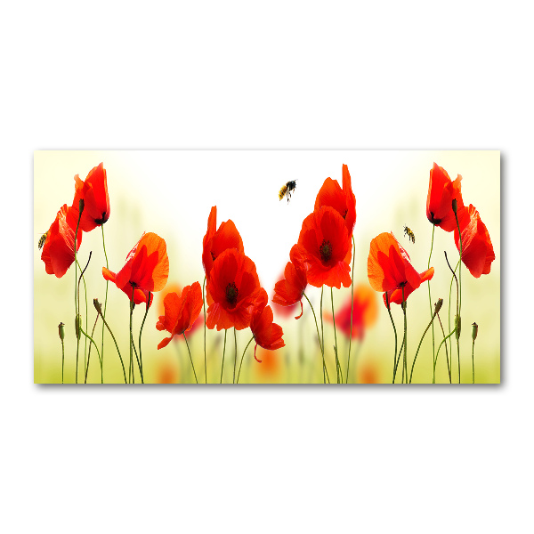 Foto schilderij op glas Klaprozen